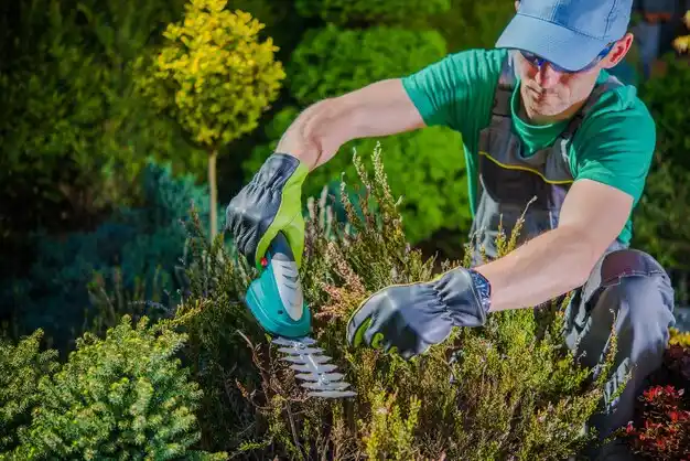 landscaping services Oriskany Falls